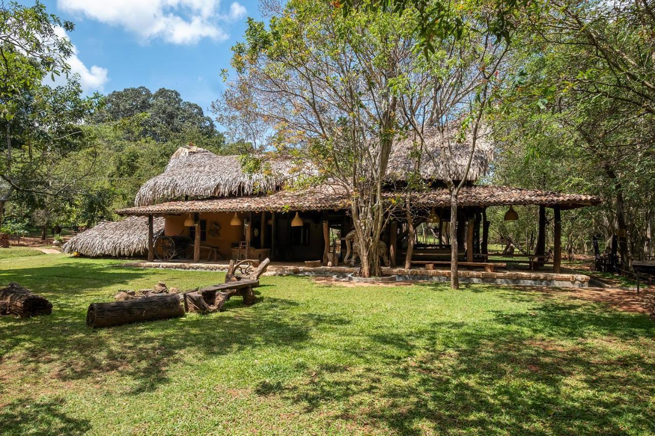 Вилла Banyan Camp Hambegamuwa Экстерьер фото