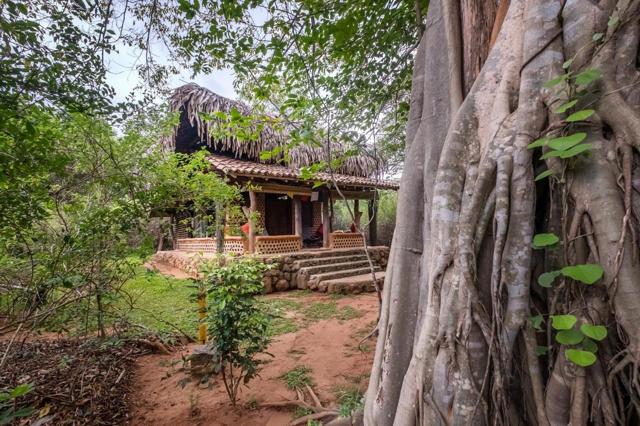 Вилла Banyan Camp Hambegamuwa Экстерьер фото